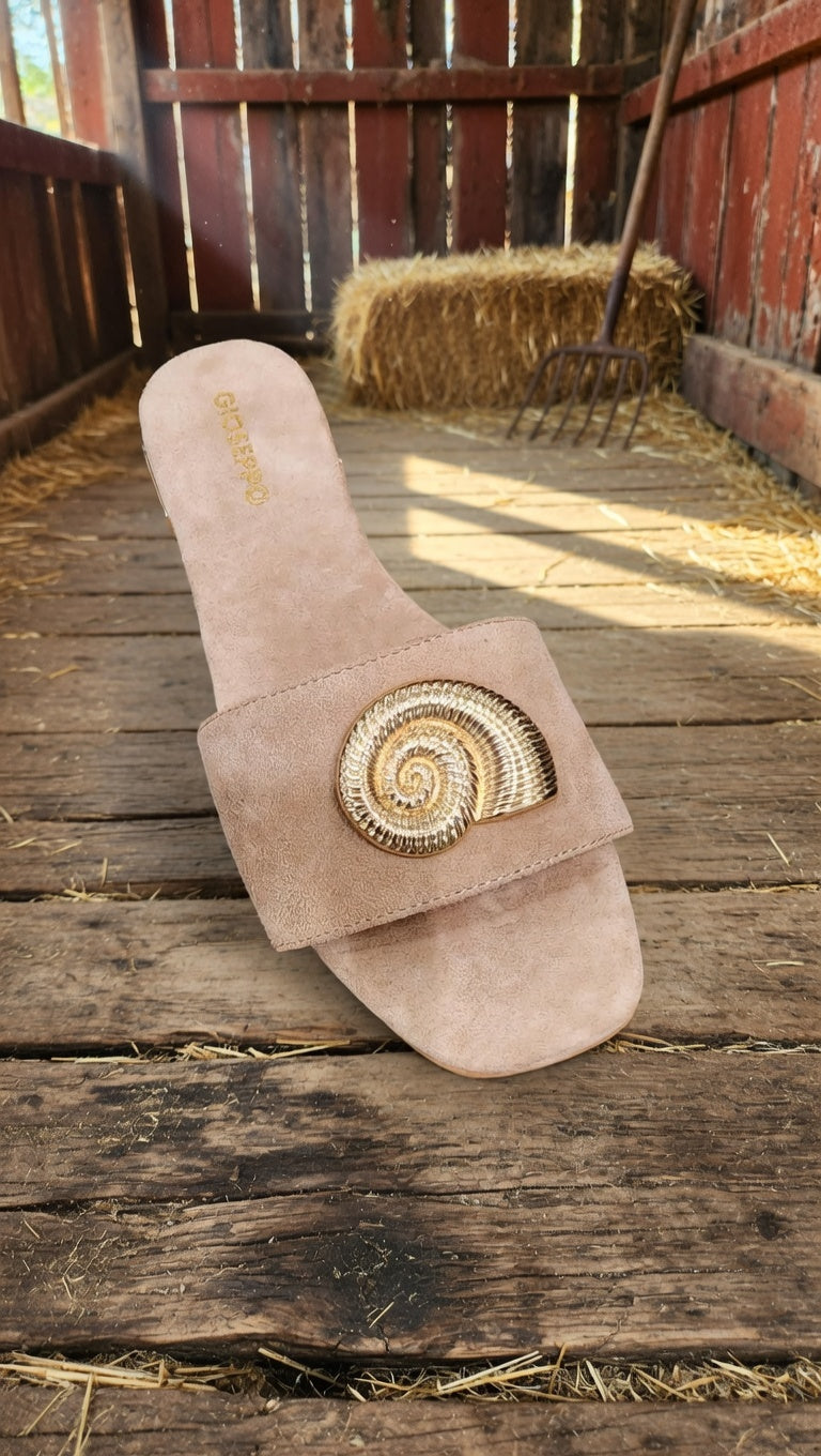 כפכפי 2צדפים 78091S26