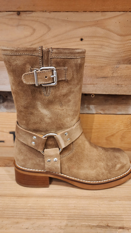 מגפוני TEXAS 2798H25