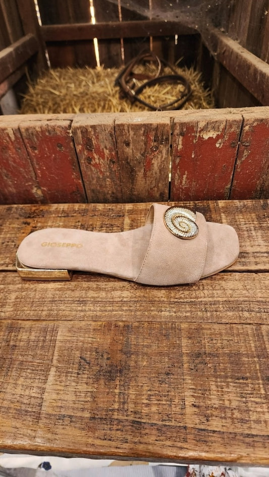 כפכפי 2צדפים 78091S26