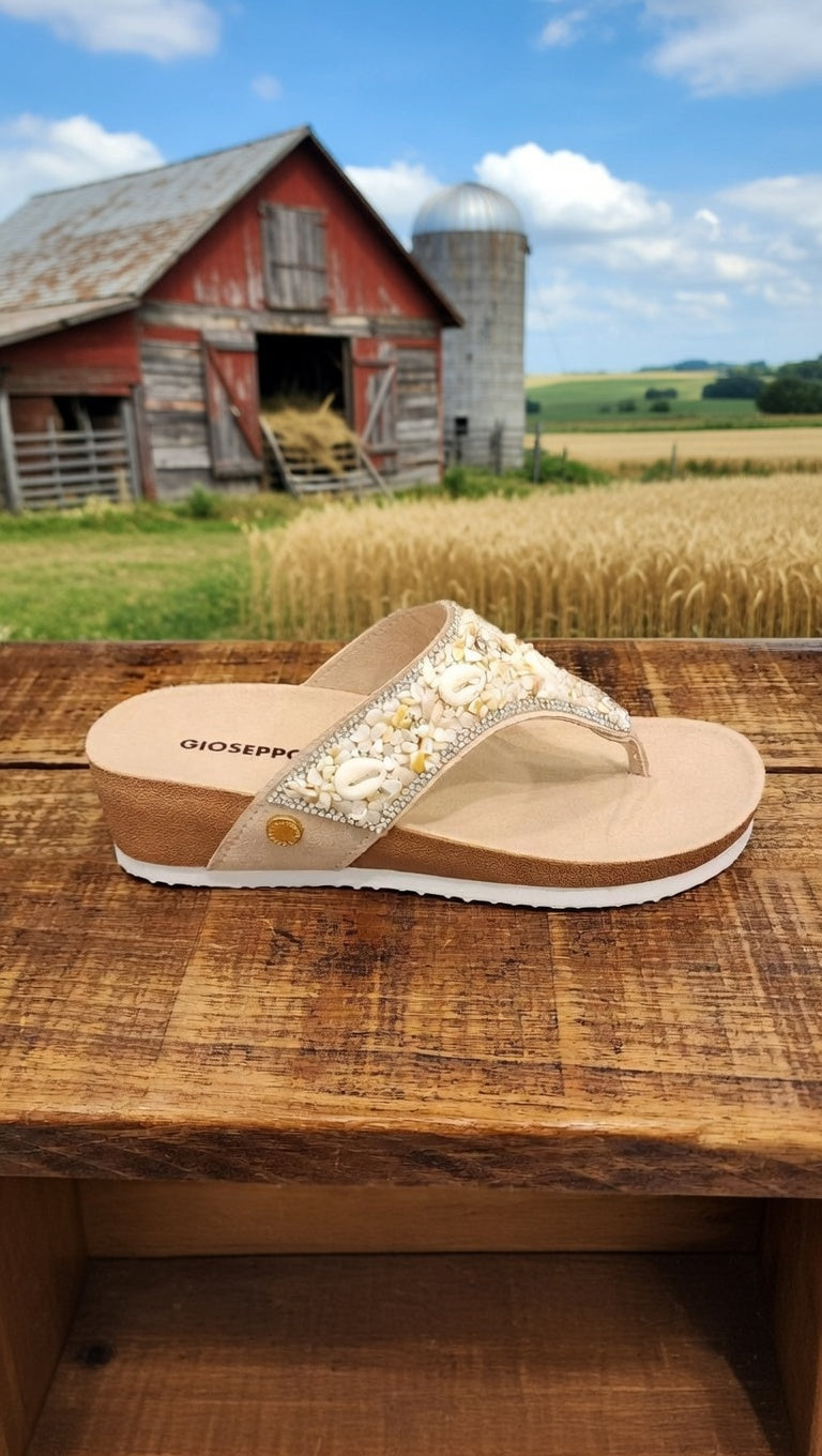 כפכפי אצבע2 78404S26