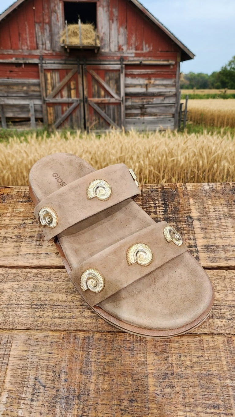 כפכפי צדפים 79035S26