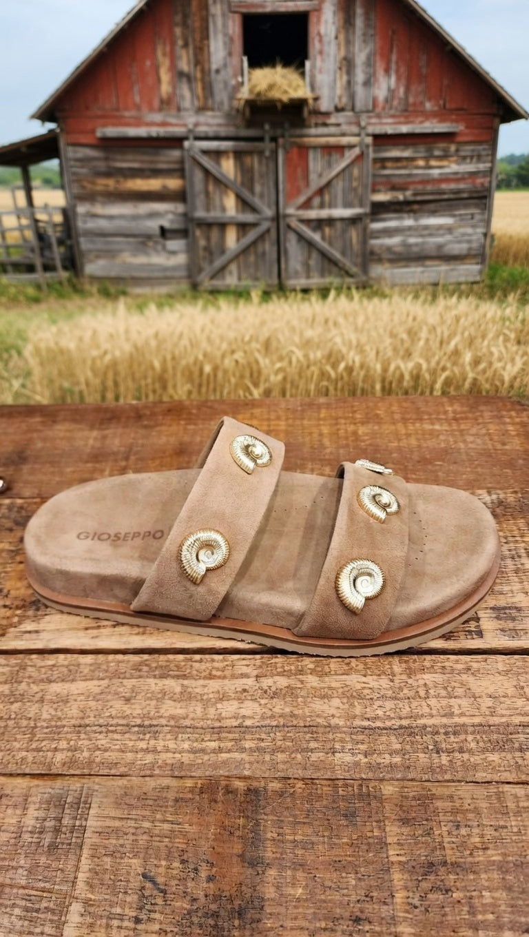 כפכפי צדפים 79035S26