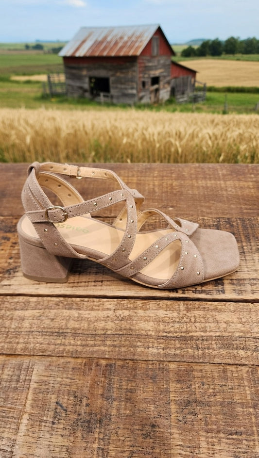 סנדלי ניטים 78207S26